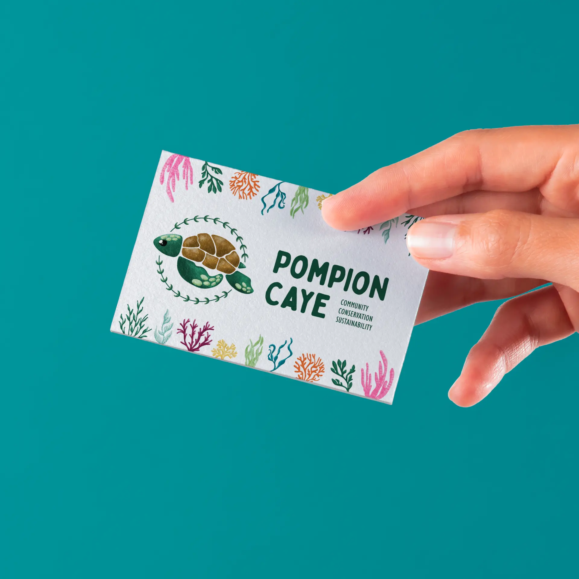 Pompion Caye project